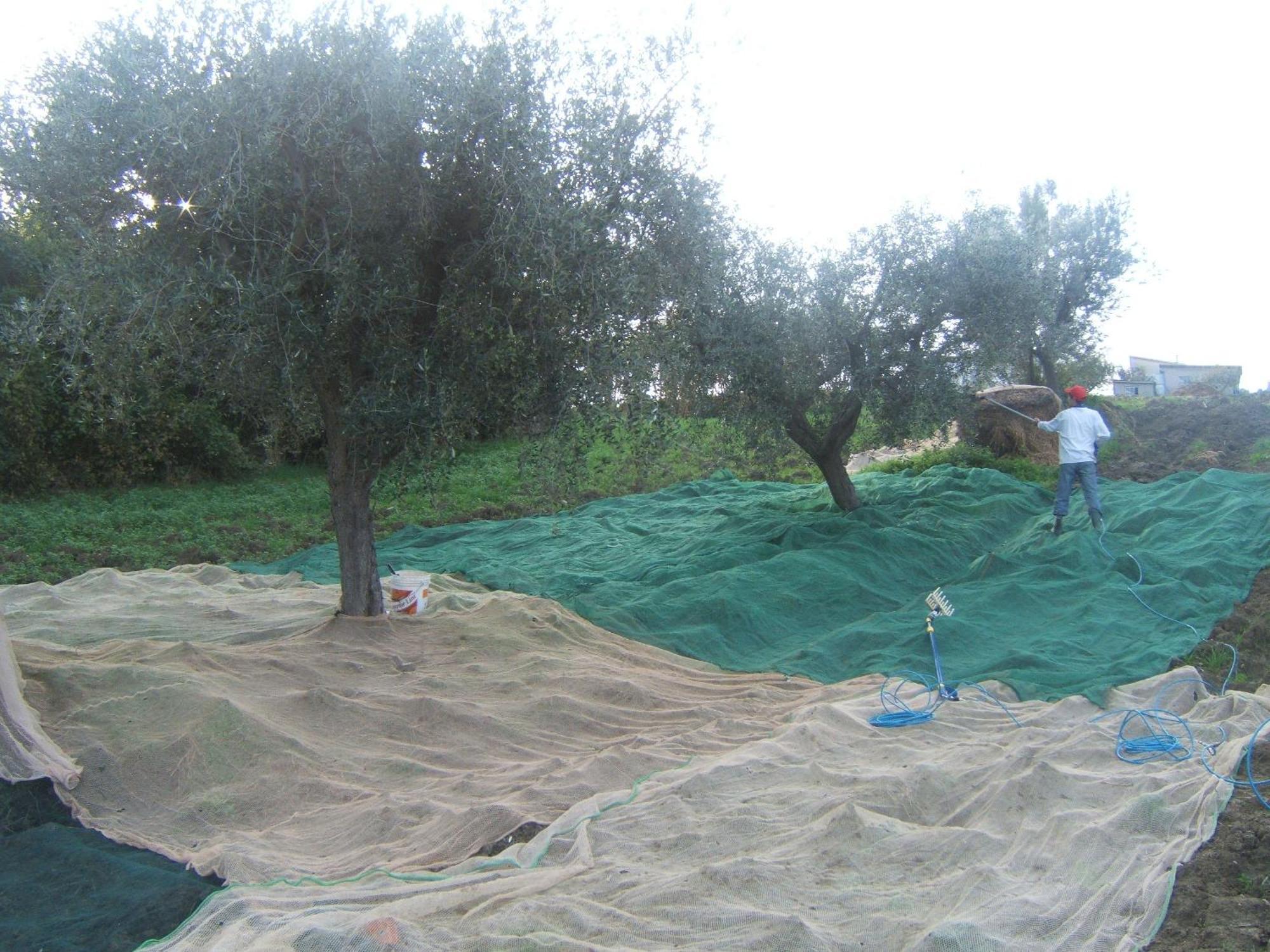Campli Agriturismo Il Vecchio Carro المظهر الخارجي الصورة