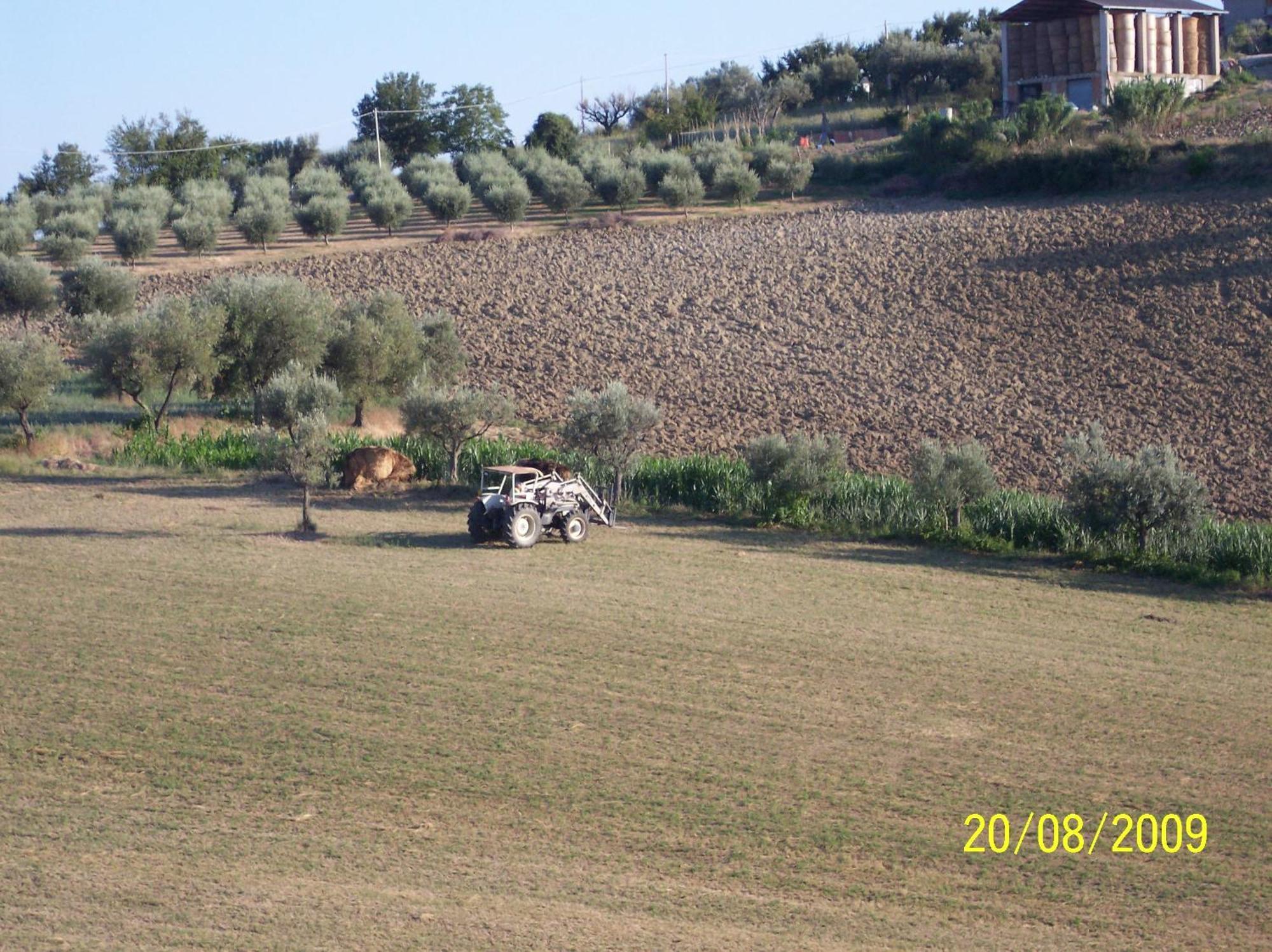 Campli Agriturismo Il Vecchio Carro المظهر الخارجي الصورة
